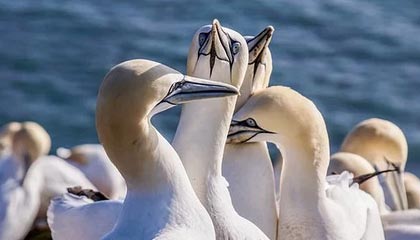 极速电竞下载-云开体育：云端驱动的体育新纪元，点亮训练与竞争的每一步