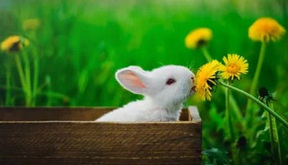 极速电竞下载-云开体育：云端驱动的体育新纪元，点亮训练与竞争的每一步